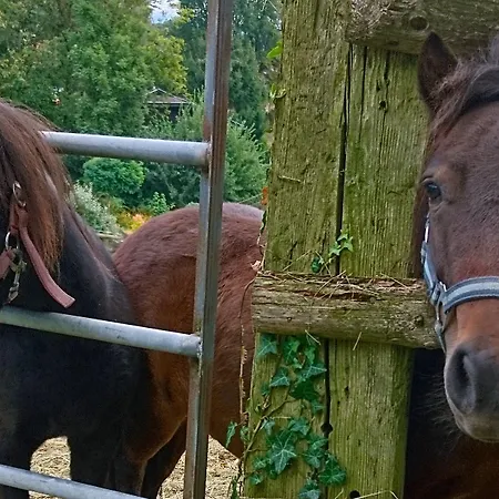 Familiengut Ertlhof 3* Seeboden