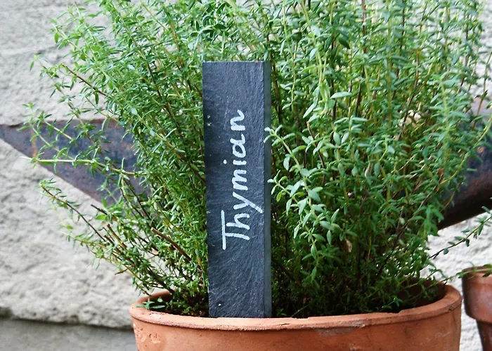 Inn Familiengut Ertlhof