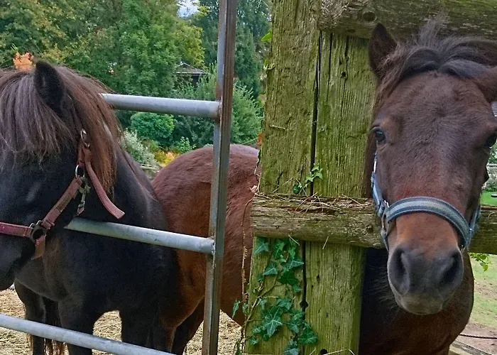 Familiengut Ertlhof 3* Seeboden